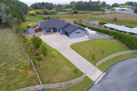 Photo of property in 138 Greer Court, Bunnythorpe, Palmerston North, 4481