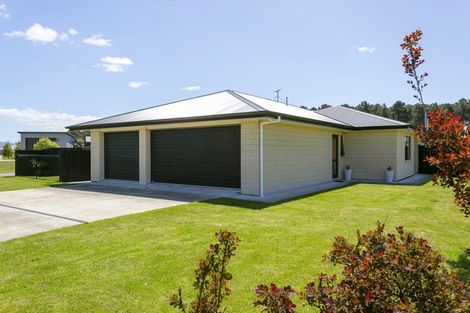 Photo of property in 10 Wai Matangi Place, Motuoapa, Turangi, 3382