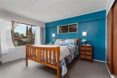 Photo of property in 19 Mcmaster Street, Greytown, 5712