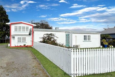 Photo of property in 113 Tamamutu Street, Taupo, 3330