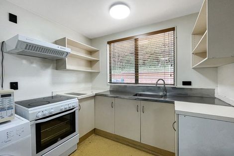 Photo of property in Te Awhina Apartments, 13/22 Sussex Street, Mount Cook, Wellington, 6021