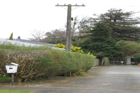 Photo of property in 19 Hobson Street, Levin, 5510