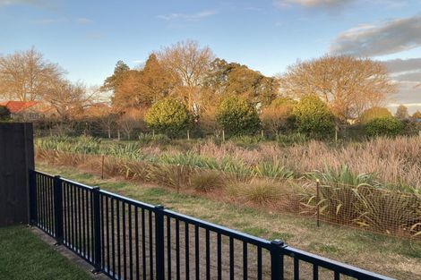 Photo of property in 7 Warren Lane, Morrinsville, 3300