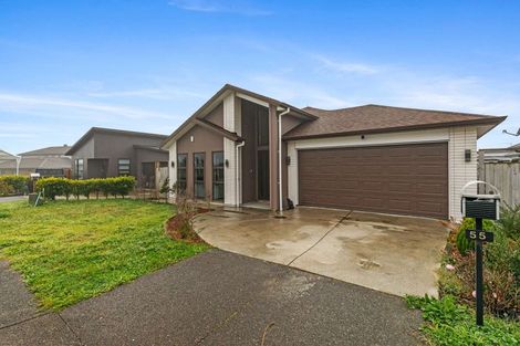 Photo of property in 55 Clarks Beach Road, Clarks Beach, 2122