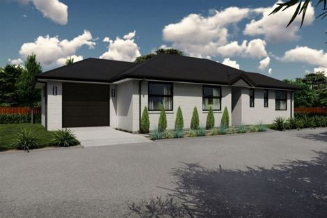 Photo of property in 36b Eton Street, Hampstead, Ashburton, 7700