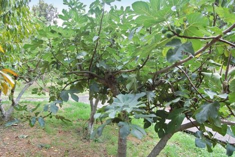 Photo of property in 2103 State Highway 1, Kaiwaka, 0573