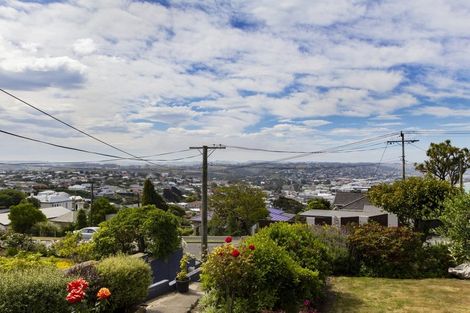 Photo of property in 21 Tamar Street, South Hill, Oamaru, 9400