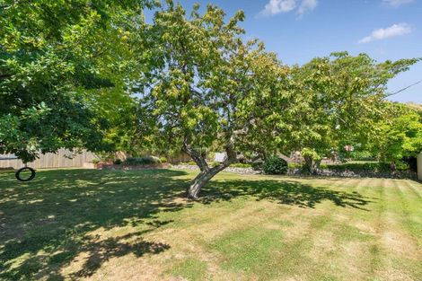 Photo of property in 124 Essex Street, Masterton, 5810