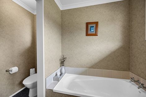 Photo of property in 156 Pembroke Road, Pembroke, Stratford, 4391