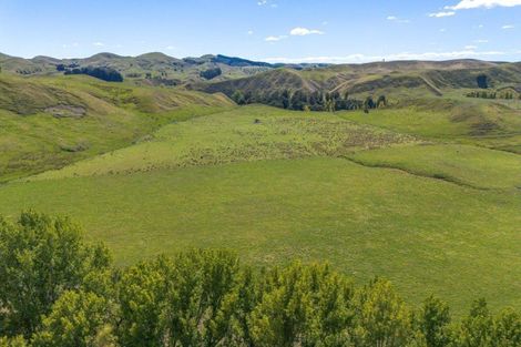 Photo of property in 300 Pattison Road, Akina, Hastings, 4122