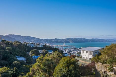 Photo of property in 30a Connaught Terrace, Brooklyn, Wellington, 6021