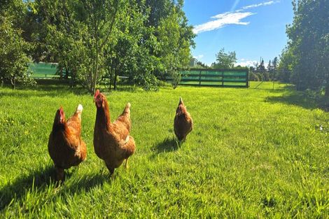 Photo of property in 86 Nursery Road, Homebush, Masterton, 5810