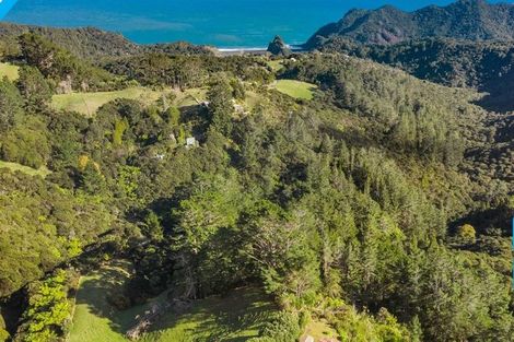 Photo of property in 152 Lone Kauri Road, Karekare, New Lynn, 0772