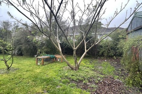 Photo of property in 54 Kabul Street, Wairoa, 4108