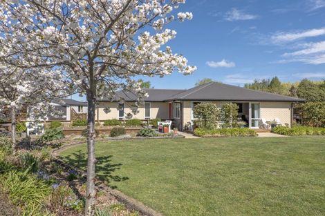 Photo of property in 10 Thornton Close, Leithfield, Amberley, 7481