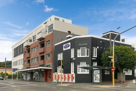 Photo of property in Anderson Apartments, 11/248 Willis Street, Te Aro, Wellington, 6011