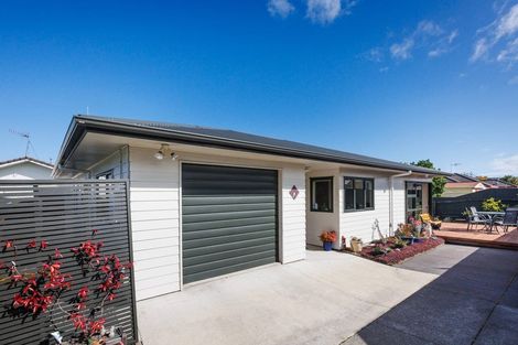 Photo of property in 102a Derby Street, Feilding, 4702