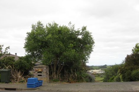 Photo of property in 21 Carlton Road, Pukekohe, 2120