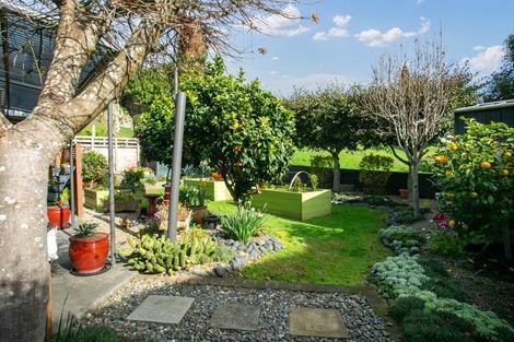 Photo of property in 11a Fairburn Place, Leamington, Cambridge, 3432