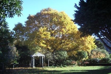 Photo of property in 60 Barton Road, Heretaunga, Upper Hutt, 5018