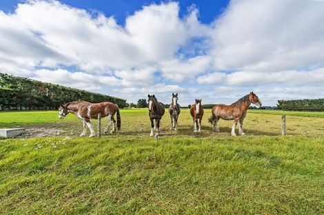 Photo of property in 143 Telegraph Road, Burnham, Christchurch, 7677