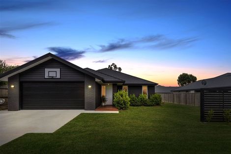 Photo of property in 40 Grigg Drive, Witherlea, Blenheim, 7201
