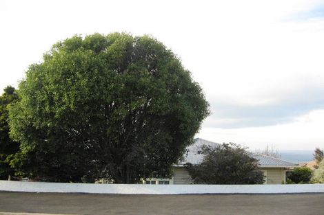 Photo of property in 44 Spencer Street, Andersons Bay, Dunedin, 9013