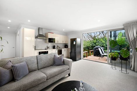 Photo of property in 17 Sillary Street, Hamilton East, Hamilton, 3216