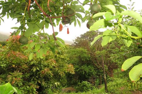 Photo of property in 44a Happy Jacks Road, Mahia, 4198