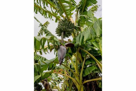 Photo of property in 6 Darwin Road, Kerikeri, 0230