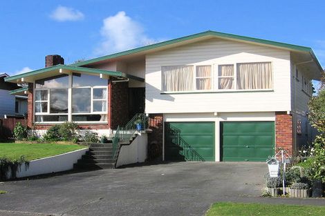 Photo of property in 50 Newcastle Street, Hokowhitu, Palmerston North, 4410