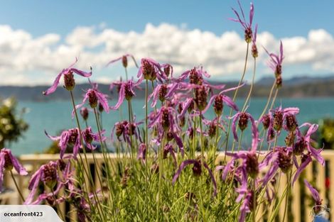 Photo of property in 387 Karaka Bay Road, Karaka Bays, Wellington, 6022