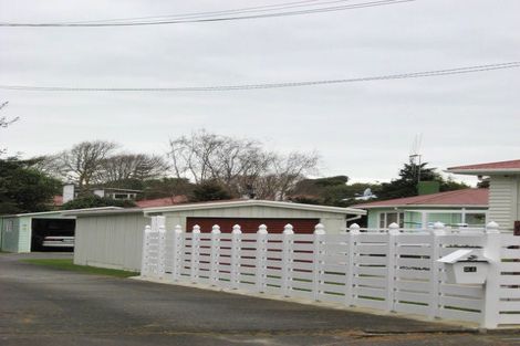 Photo of property in 21 Hobson Street, Levin, 5510