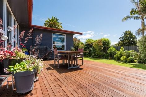 Photo of property in 34 Buckingham Street, Whakatu, Hastings, 4102