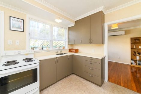 Photo of property in 458 Ruahine Street, Terrace End, Palmerston North, 4410