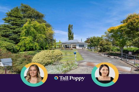 Photo of property in 12 Toko Road, Toko, Stratford, 4392