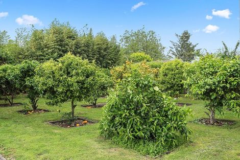 Photo of property in 10/46 Peachgrove Road, Hamilton East, Hamilton, 3216