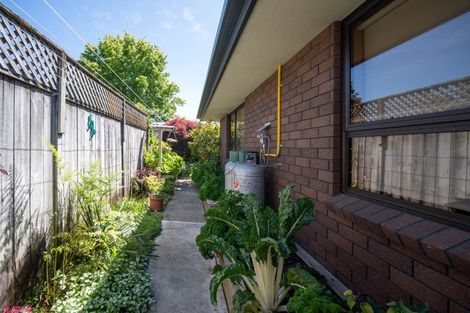 Photo of property in 2/90a Halifax Street East, The Wood, Nelson, 7010