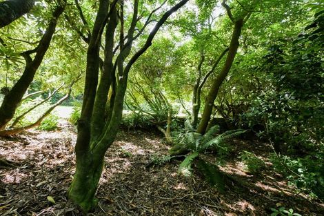 Photo of property in 52 Grendon Street, Maori Hill, Dunedin, 9010