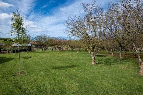 Photo of property in 2 Hill Road, Warrington, Waikouaiti, 9471