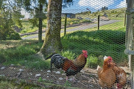 Photo of property in 120 Abbey Caves Road, Abbey Caves, Whangarei, 0175