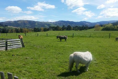 Photo of property in 13 Queens Terrace, Waimate, 7978