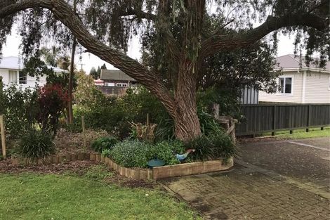 Photo of property in 51 Burwood Road, Matamata, 3400