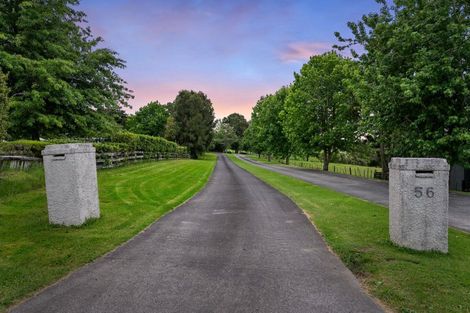 Photo of property in 56a Glenmore Road, Coatesville, 0793
