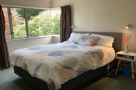 Photo of property in 58 Simla Avenue, Havelock North, 4130