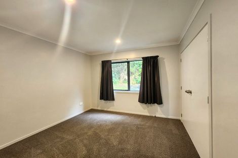 Photo of property in 262 Plummers Point Road, Whakamarama, Tauranga, 3172