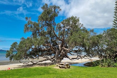 Photo of property in 4 Kotare Place, Sandspit, Warkworth, 0982