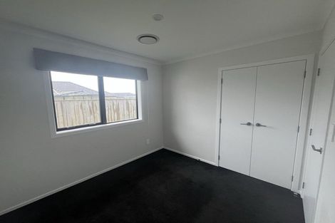 Photo of property in 68 Hinemoa Street, Levin, 5510