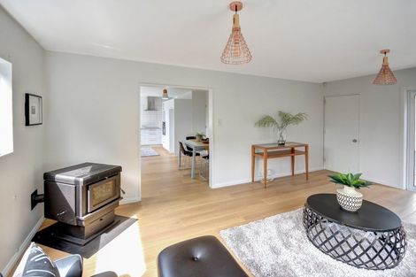 Photo of property in 24b Motu Street, Saint Clair, Dunedin, 9012