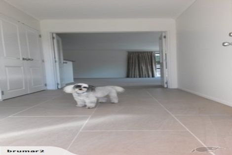 Photo of property in 4 Cobham Lane, Whitianga, 3510